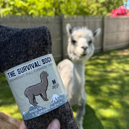 Alpaca Socks