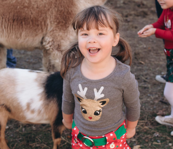 Christmas at the Cape Coop, Saturday Nov 15 - Image 17