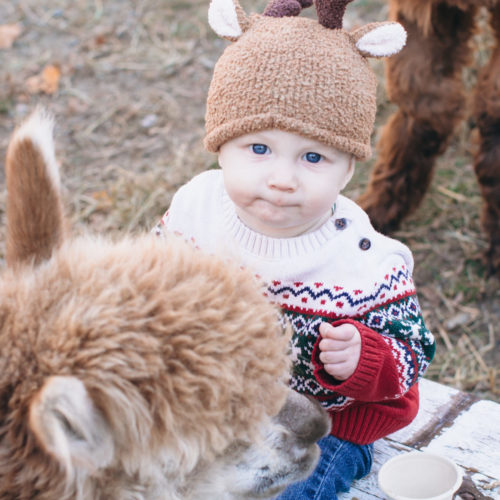 Santa at The Cape Coop