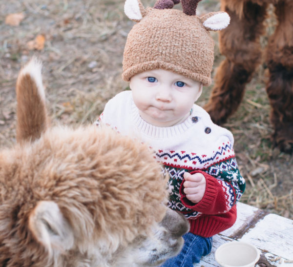 Christmas at the Cape Coop, Saturday Nov 15 - Image 9