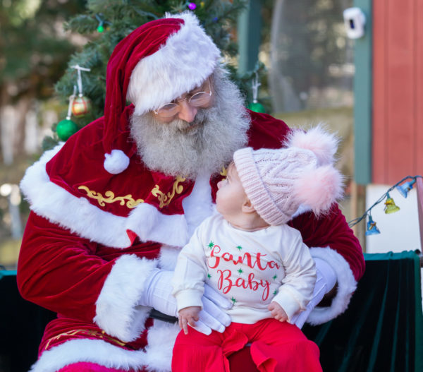 Christmas at the Cape Coop, Saturday Nov 15 - Image 4