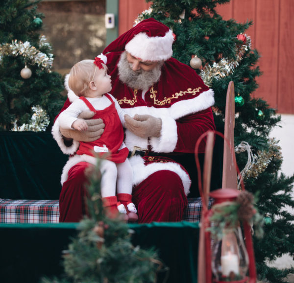 Christmas at the Cape Coop, Saturday Nov 15 - Image 14