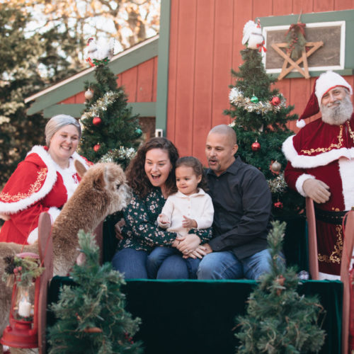 Santa at The Cape Coop