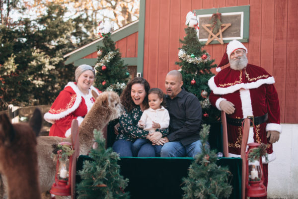 Christmas at the Cape Coop, Saturday Nov 15 - Image 13