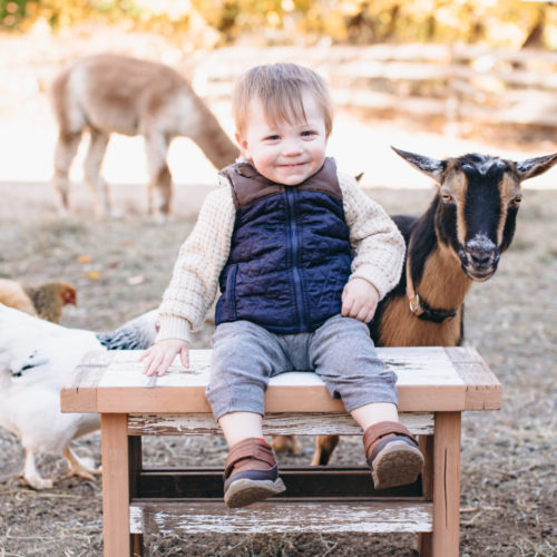 Santa at The Cape Coop