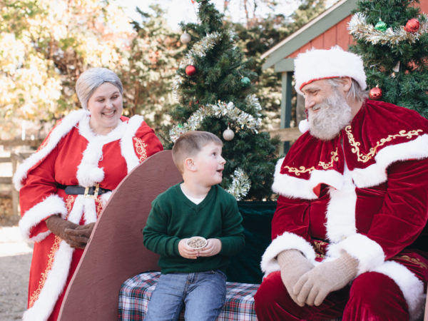 Christmas at the Cape Coop, Saturday Nov 15 - Image 11